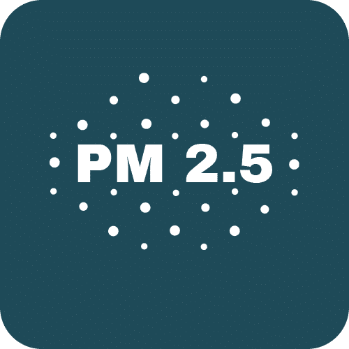 Particulate Matter (PM 2.5)